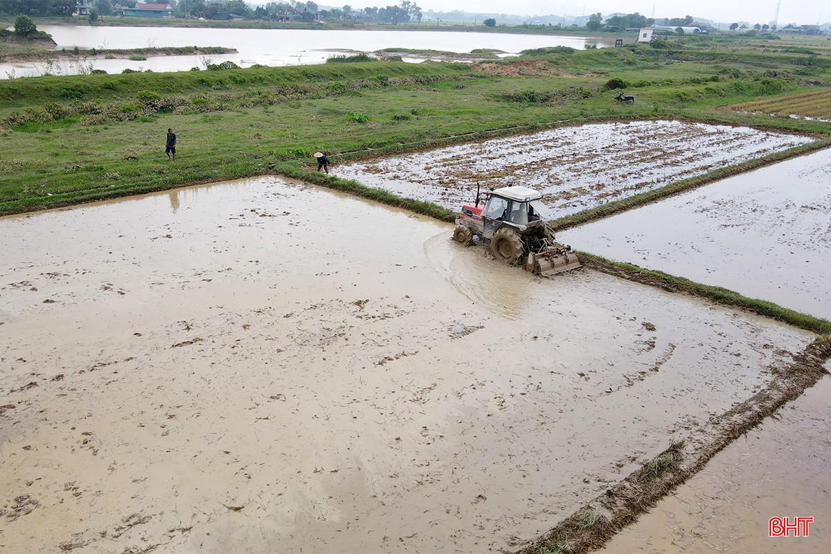 Los habitantes de la comuna de Thach Ngoc comienzan a preparar la tierra para el cultivo de arroz de verano y otoño. bqbht_br_dap-ha-hu-hong-5.jpg