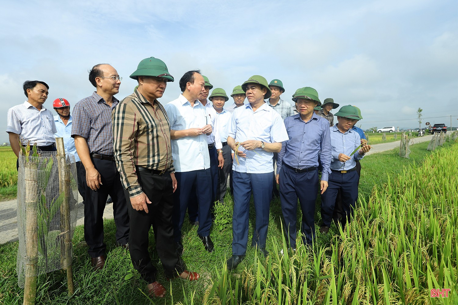 ...kiểm tra tiến độ thu hoạch lúa xuân ở xã Lâm Trung Thủy. bqbht_br_chu-tich-tinh-kiem-tra-o-duc-tho-7b.jpg