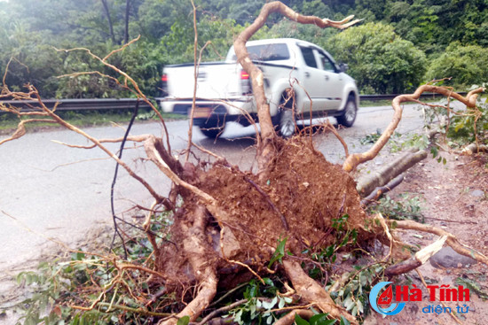 video mua lon gay sat lo nhieu diem tren quoc lo 8a