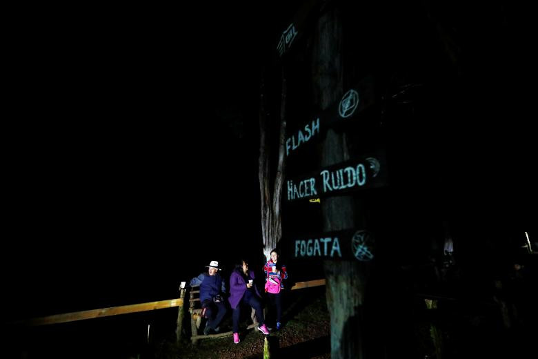 lac giua khu rung dom dom tuyet dep o mexico