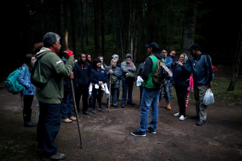 lac giua khu rung dom dom tuyet dep o mexico