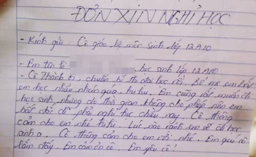 don xin nghi hoc khien thay co cung do benh