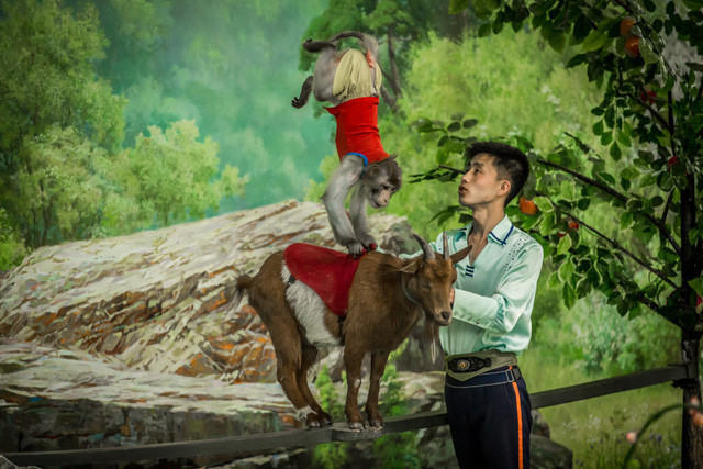 day la noi gioi nha giau trieu tien tu tap dip cuoi tuan