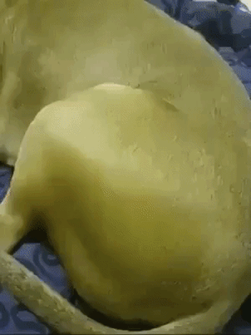 10 anh hai hot nhat facebook trong ngay