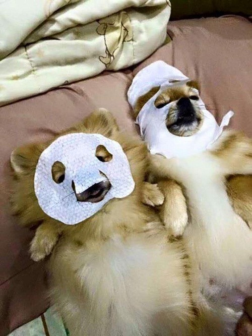 10 anh hai hot nhat facebook trong ngay