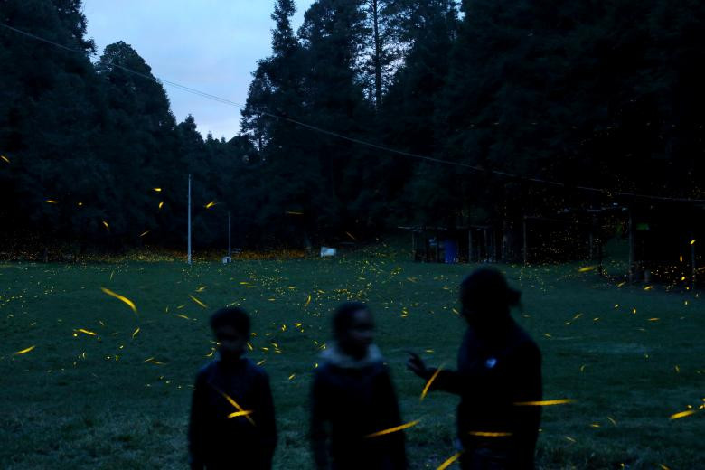 lac giua khu rung dom dom tuyet dep o mexico