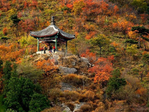 mua thu dep quyen ru khap the gioi