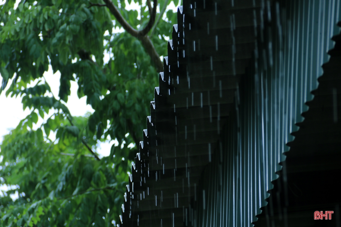 Cơn mưa “vàng” giải nhiệt thị xã phía Nam Hà Tĩnh