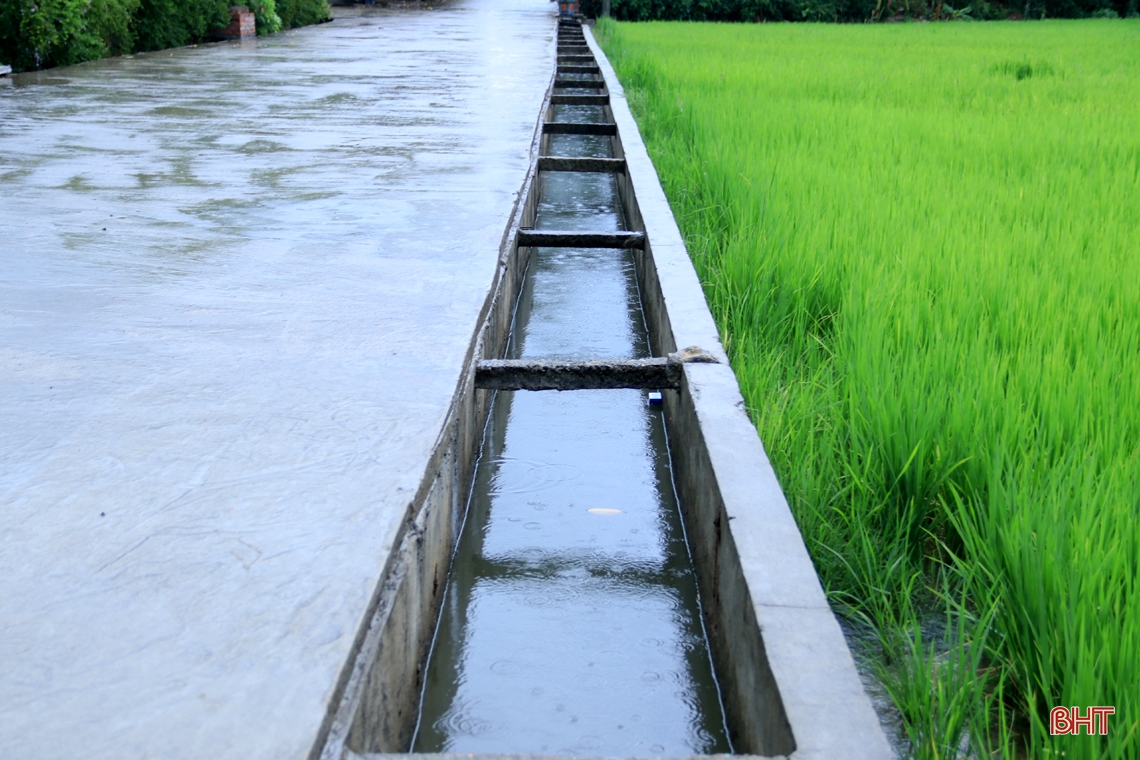 Cơn mưa “vàng” giải nhiệt thị xã phía Nam Hà Tĩnh