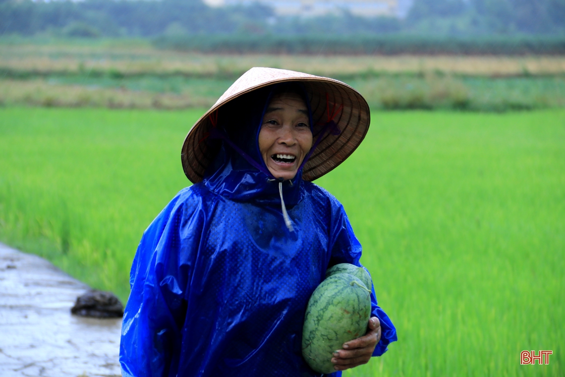 Cơn mưa “vàng” giải nhiệt thị xã phía Nam Hà Tĩnh