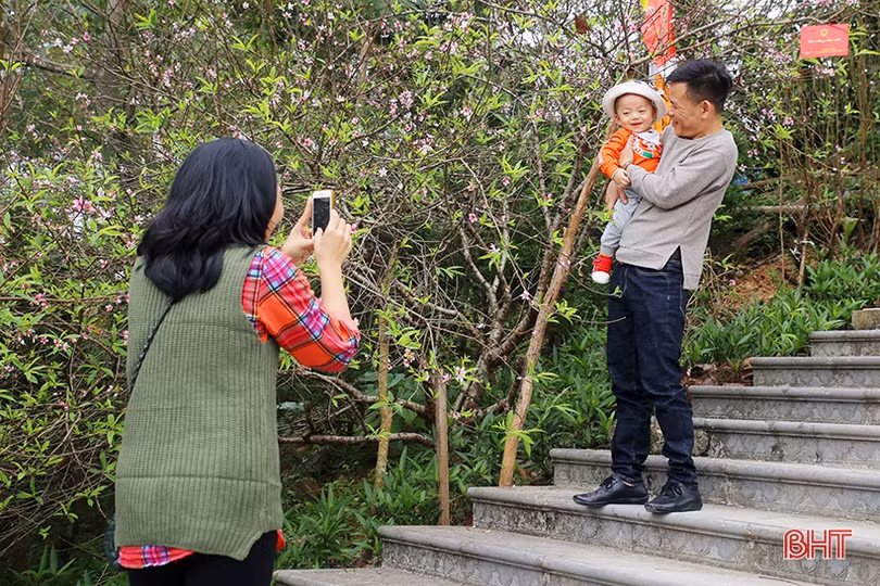 Người dân Hà Tĩnh náo nức đi lễ chùa, hái lộc đầu xuân