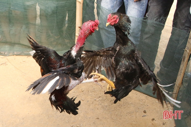 Du khách trẩy hội chùa Hương “đã mắt” với các trò chơi dân gian