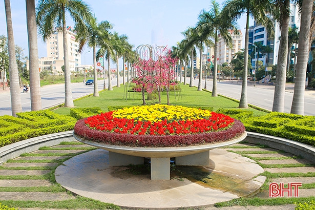 Thành Sen rực rỡ cờ hoa chào đón Xuân Kỷ Hợi