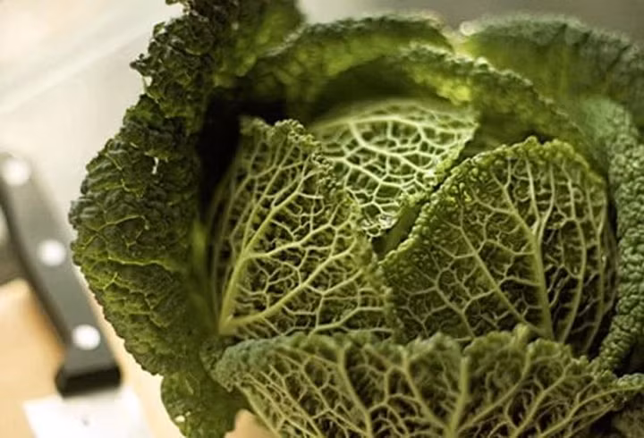 Những thực phẩm có hại cho hệ tiêu hoá