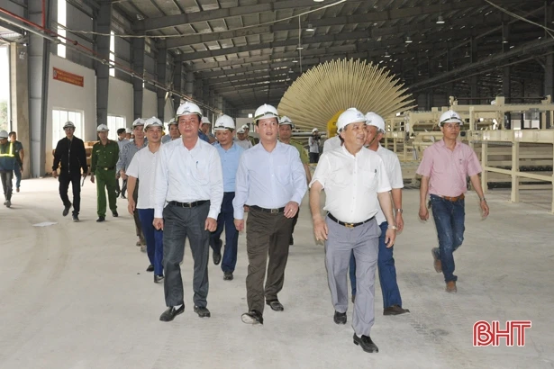 Chủ tịch UBND tỉnh Đặng Quốc Khánh trồng cây đầu xuân và kiểm tra sản xuất tại Vũ Quang