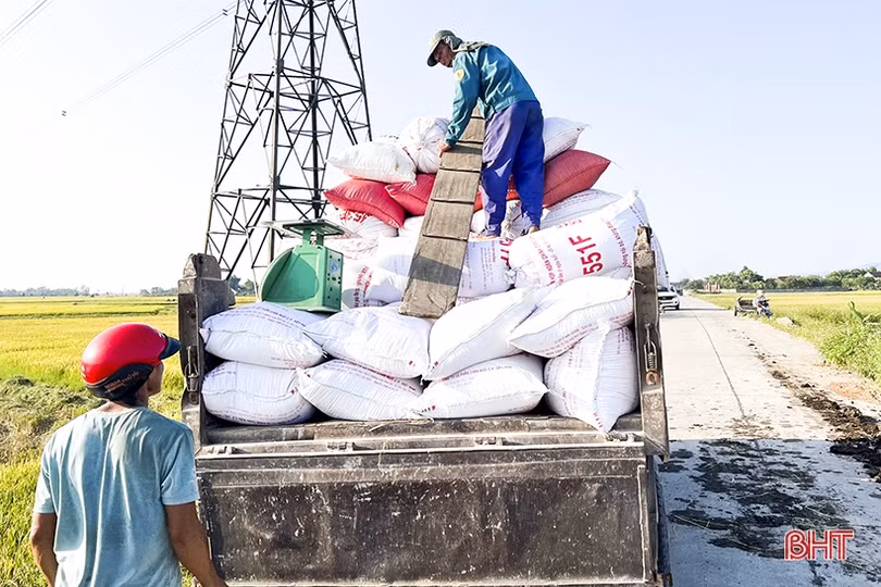 Mùa vui ở huyện lúa Đức Thọ