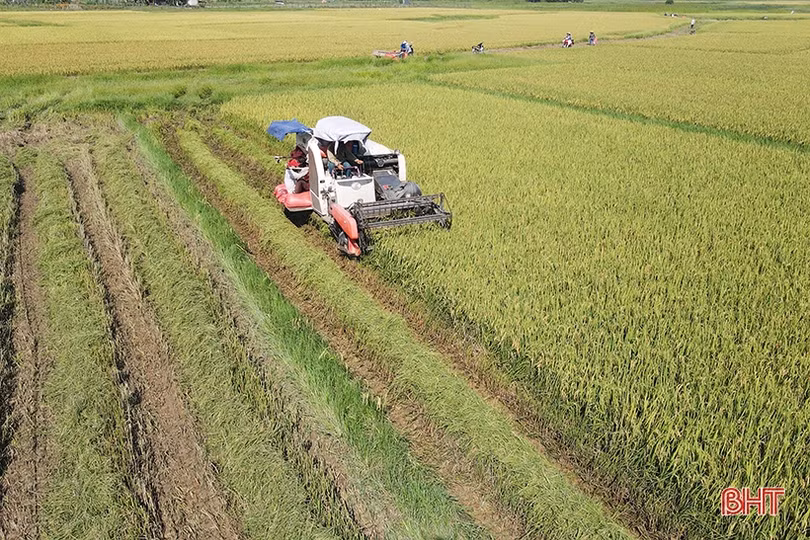 Quyết không để xảy ra tình trạng “bảo kê” gặt lúa ở Hà Tĩnh