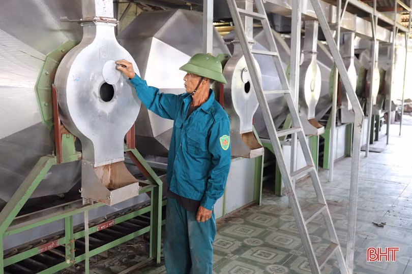 Thương hiệu trà xanh Thảo Nguyên trên vùng đất Hương Sơn