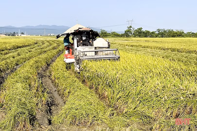 Mùa vui ở huyện lúa Đức Thọ