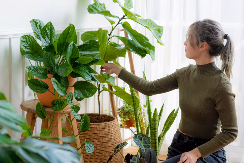 Làm sao để ngôi nhà luôn mát lành giữa mùa nóng?