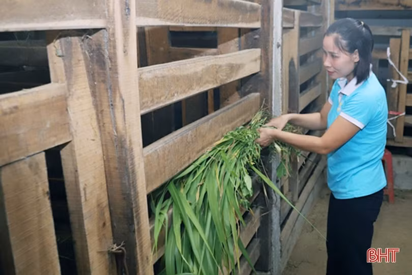 Liên kết để phát triển các mô hình kinh tế nhỏ do phụ nữ làm chủ