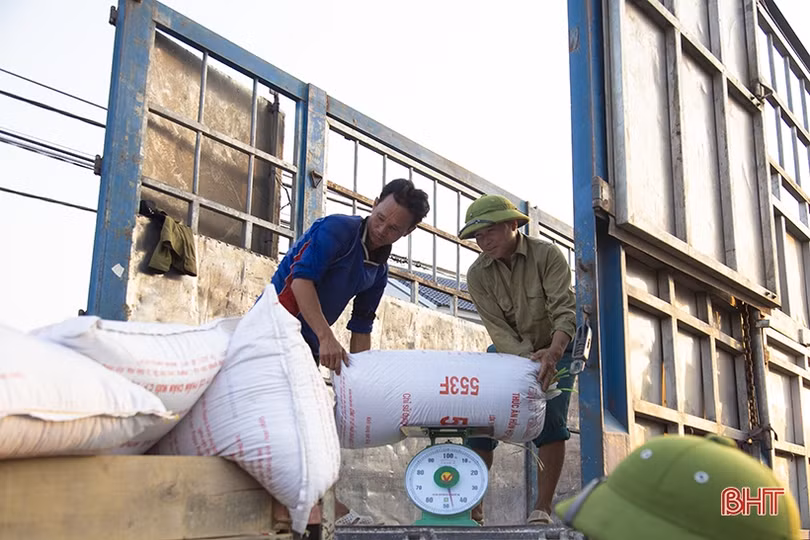 Niềm vui nhân đôi của nông dân Hà Tĩnh