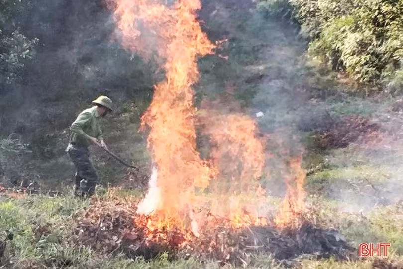 Các chủ rừng lớn ở Hà Tĩnh cảnh giác cao với nắng nóng