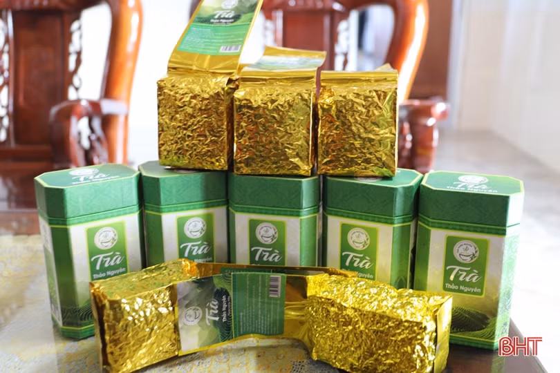 Thương hiệu trà xanh Thảo Nguyên trên vùng đất Hương Sơn