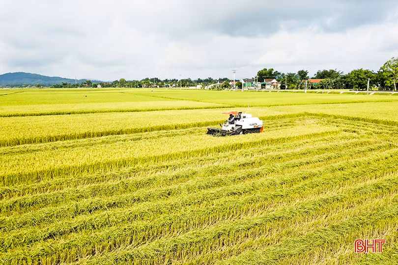 Mùa vui ở huyện lúa Đức Thọ