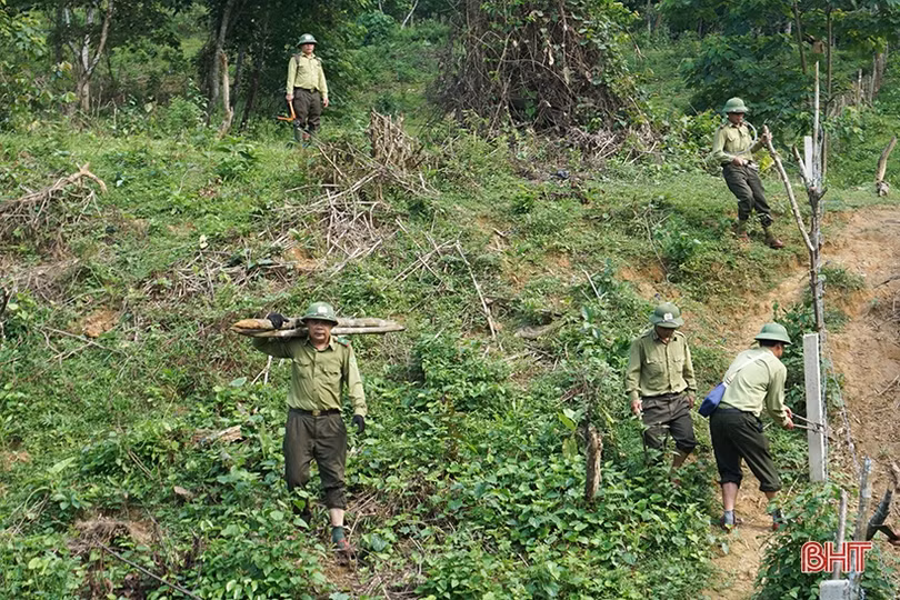 Xử phạt đối tượng chặt phá cây gỗ tự nhiên ở Hương Khê