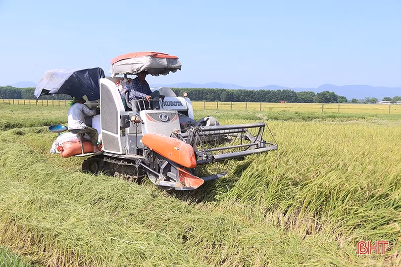 Quyết không để xảy ra tình trạng “bảo kê” gặt lúa ở Hà Tĩnh