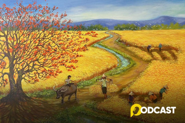 Podcast tản văn: Vàng nắng vàng đồng
