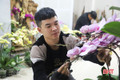 Thợ cắm hoa lan tất bật dịp Tết, thu tiền triệu mỗi ngày