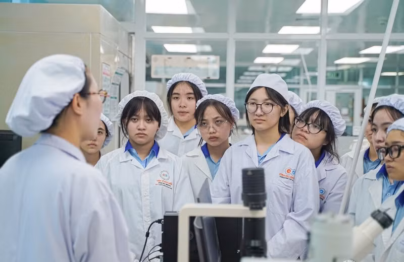 111 ngành mà sinh viên được học bổng 3,7-5,5 triệu đồng/tháng