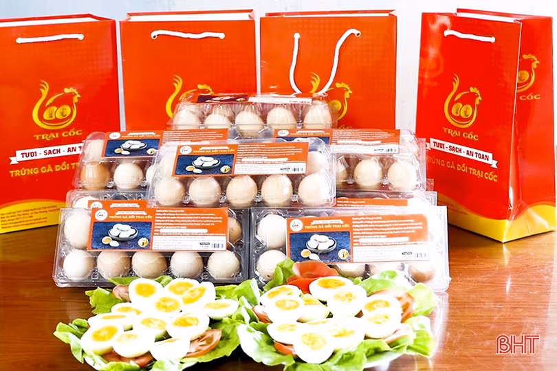 Tiếp tục tuyên truyền thực hiện tốt đề án hỗ trợ phụ nữ phát triển