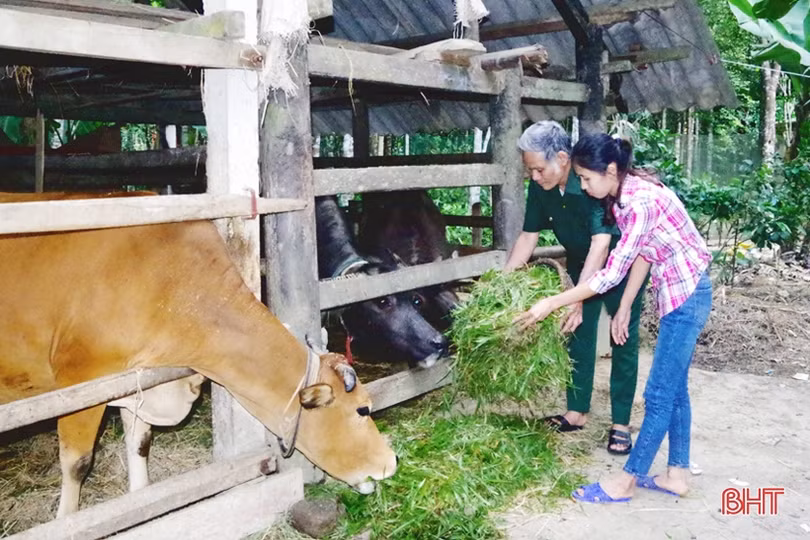 Lan tỏa tấm lòng nhân ái của các nữ quân nhân Hà Tĩnh