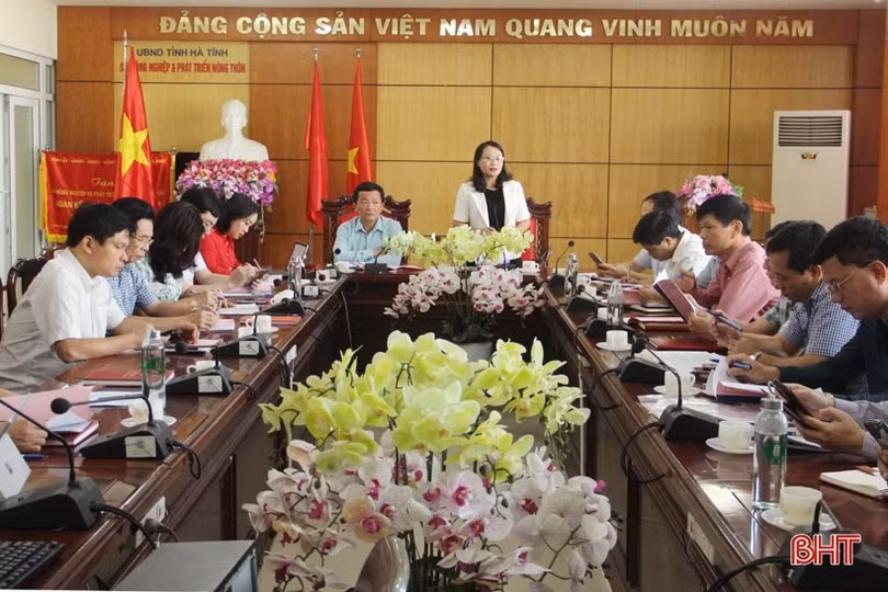 Tiếp tục nâng cao hiệu lực, hiệu quả hoạt động của tổ chức bộ máy Sở NN&PTNT tỉnh Hà Tĩnh