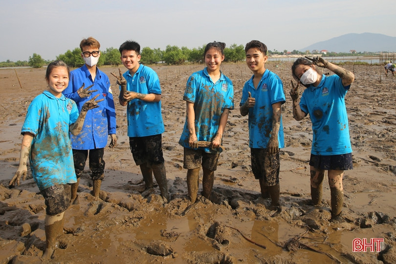 Học sinh Trường Albert Einstein trồng cây phục hồi rừng ngập mặn