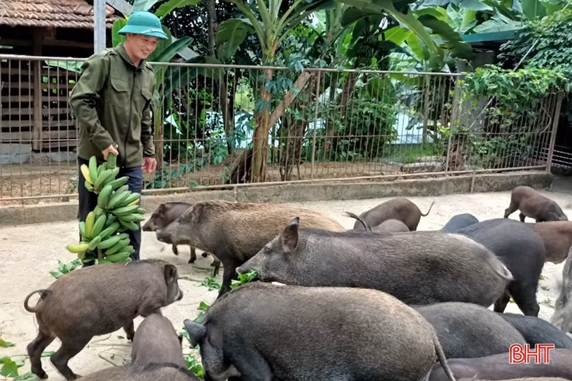 “Nhà sạch, vườn đẹp” giúp đoàn viên công đoàn huyện miền núi Hà Tĩnh ngày càng khấm khá