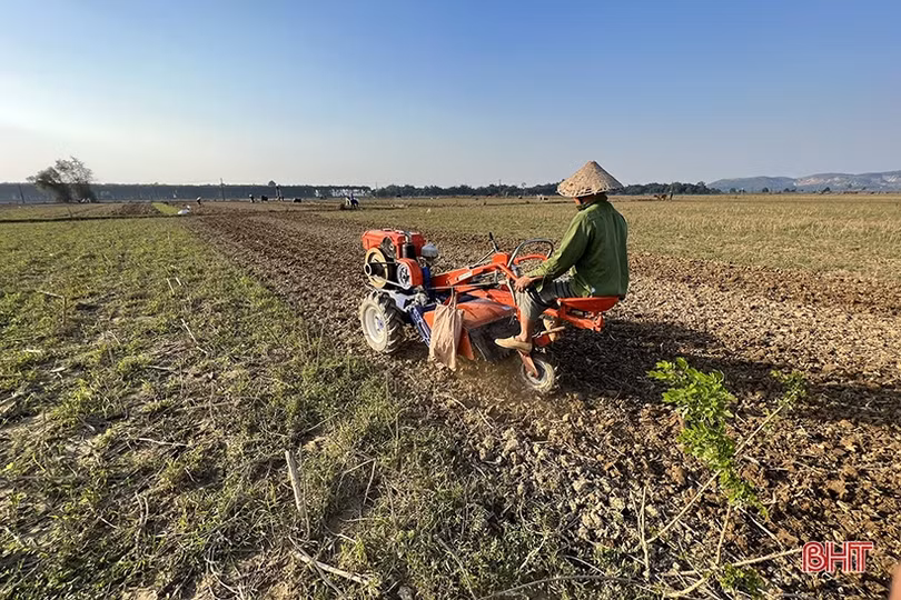 Thời tiết thuận lợi, nông dân Hà Tĩnh xuống đồng làm rau màu vụ đông