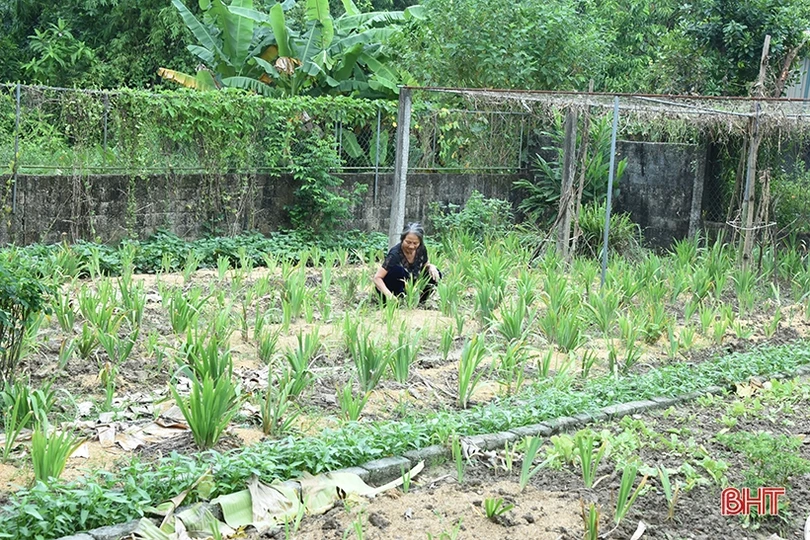 Thăm thôn Tam Đồng - nơi thí điểm xây dựng khu dân cư NTM thông minh của Hà Tĩnh