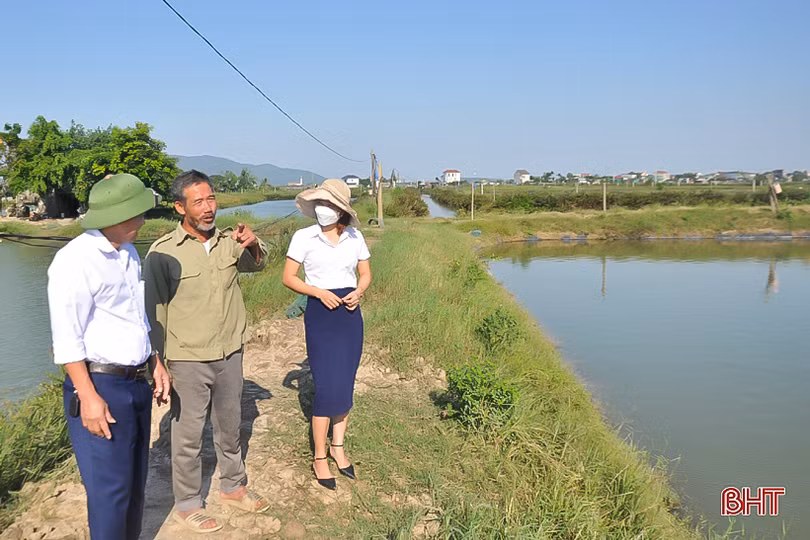 Dư nợ cho vay cá nhân, hộ gia đình ở các ngân hàng Hà Tĩnh chiếm trên 67%