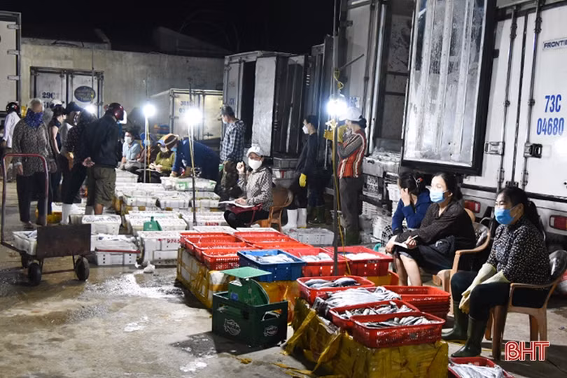 Tàu thuyền nằm bờ, các trung tâm mua bán hải sản lớn của Hà Tĩnh vẫn không thiếu nguồn cung