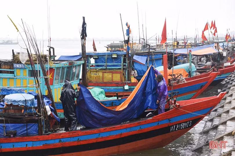 Tàu thuyền nằm bờ, các trung tâm mua bán hải sản lớn của Hà Tĩnh vẫn không thiếu nguồn cung