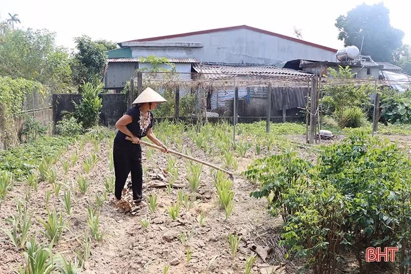 Xã ven đô quyết tâm cán đích nông thôn mới kiểu mẫu năm 2022