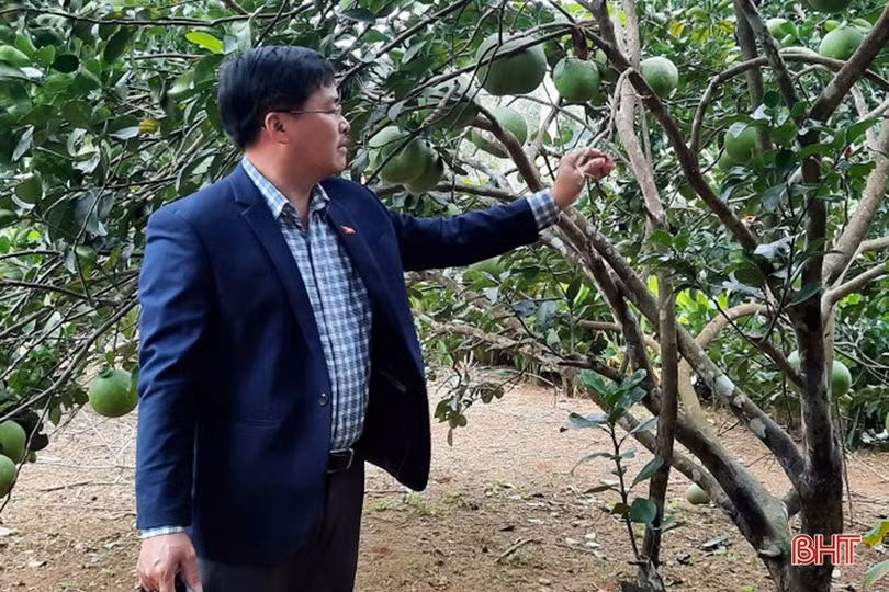 “Nhà sạch, vườn đẹp” giúp đoàn viên công đoàn huyện miền núi Hà Tĩnh ngày càng khấm khá