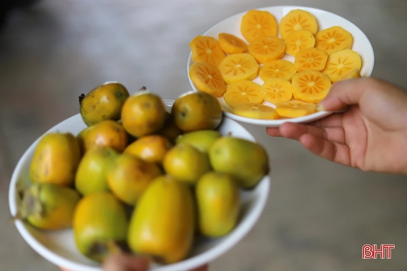 Mùa hồng giòn “bội thu” của nông dân Vũ Quang