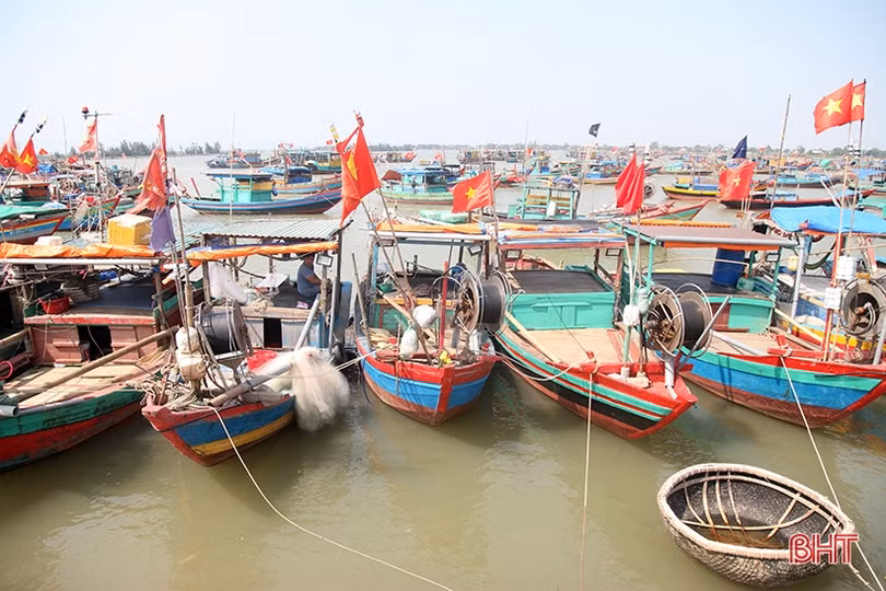 Đảm bảo an toàn tính mạng, tài sản cho bà con ngư dân trước ảnh hưởng bão số 6