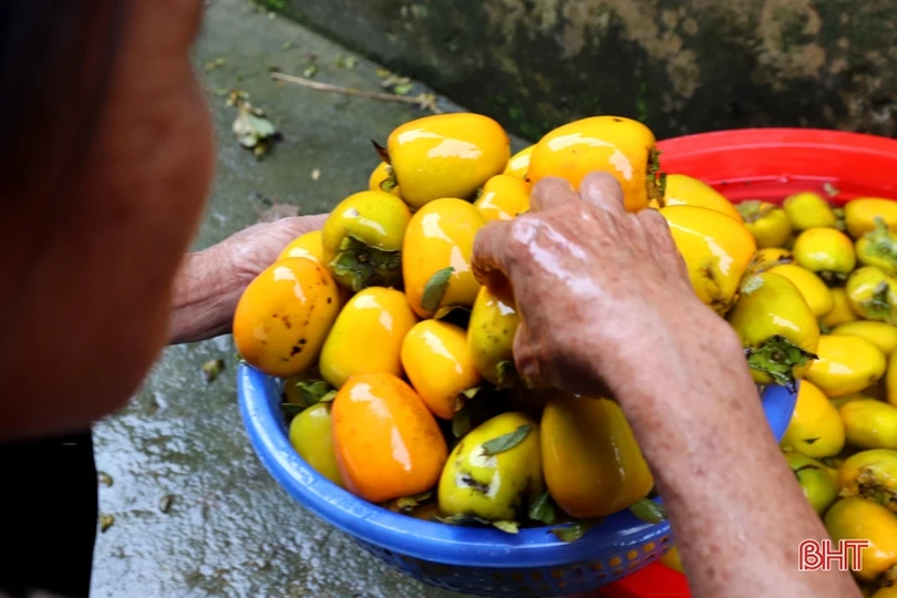 Mùa hồng giòn “bội thu” của nông dân Vũ Quang