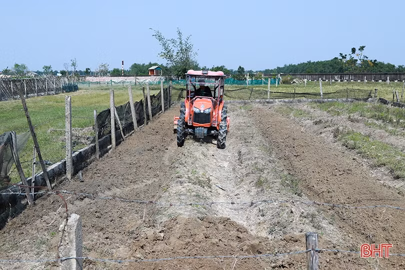 Thời tiết thuận lợi, nông dân Hà Tĩnh xuống đồng làm rau màu vụ đông